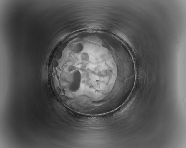 X0000088481067200705291623