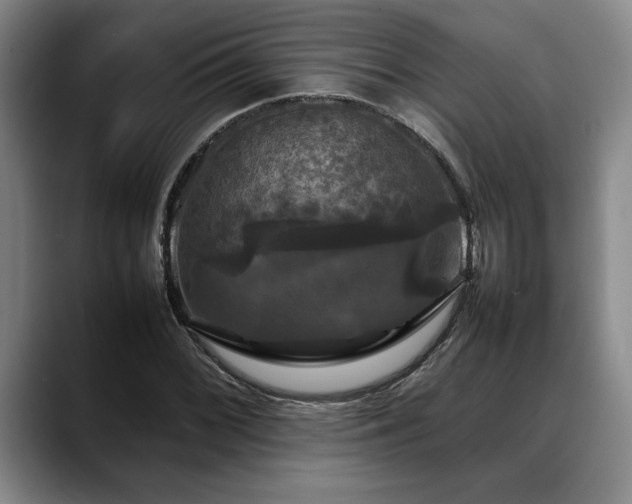 X0000088481068200705291623