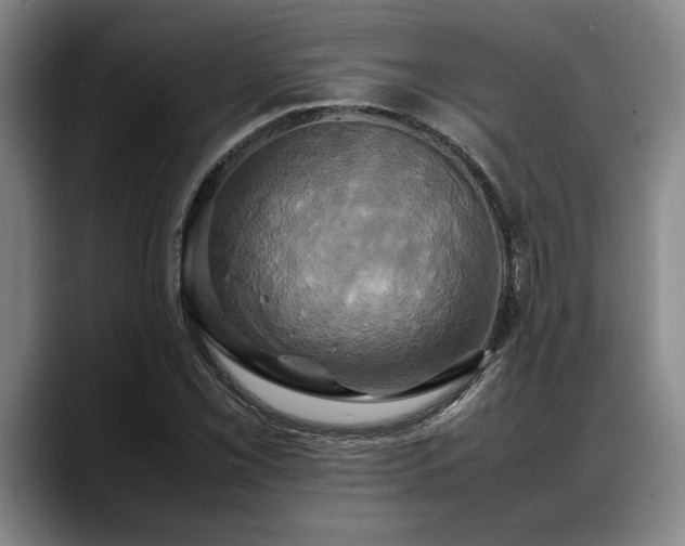 X0000088481069200705291623