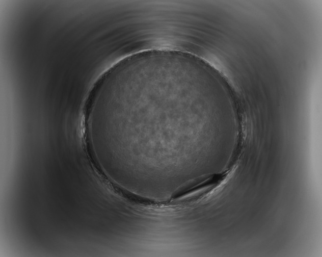 X0000088481070200705291623