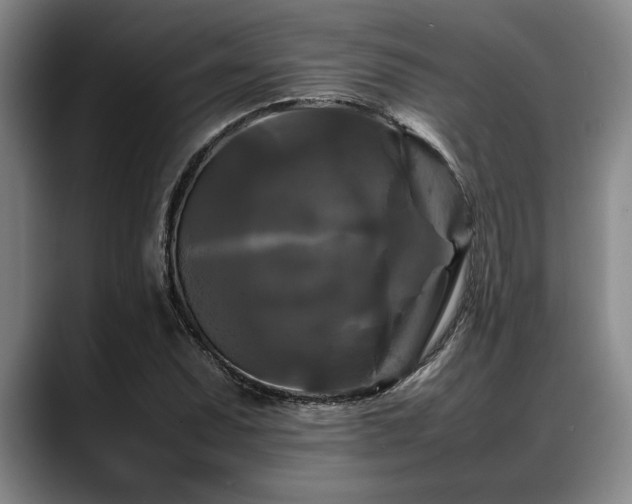 X0000088481071200705291623