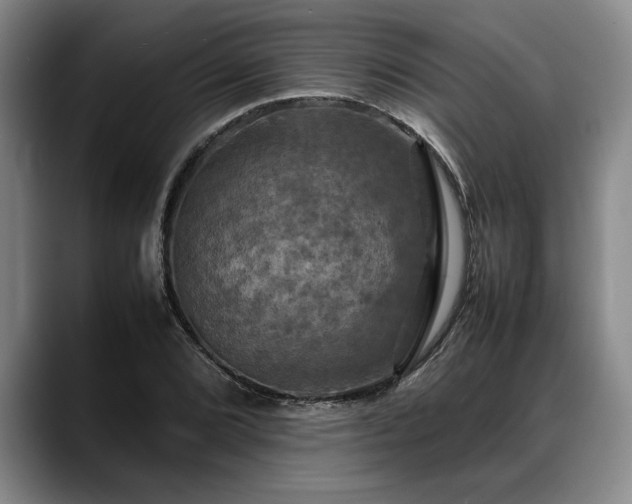 X0000088481072200705291623