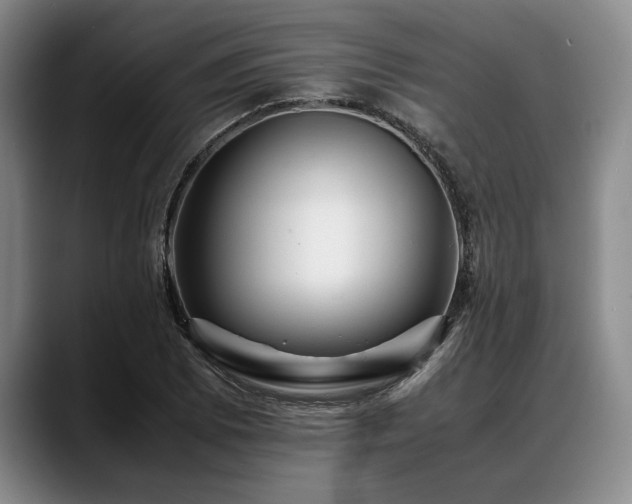 X0000088481073200705291623