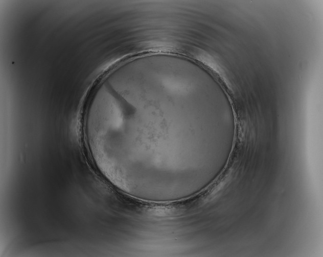X0000088481074200705291623