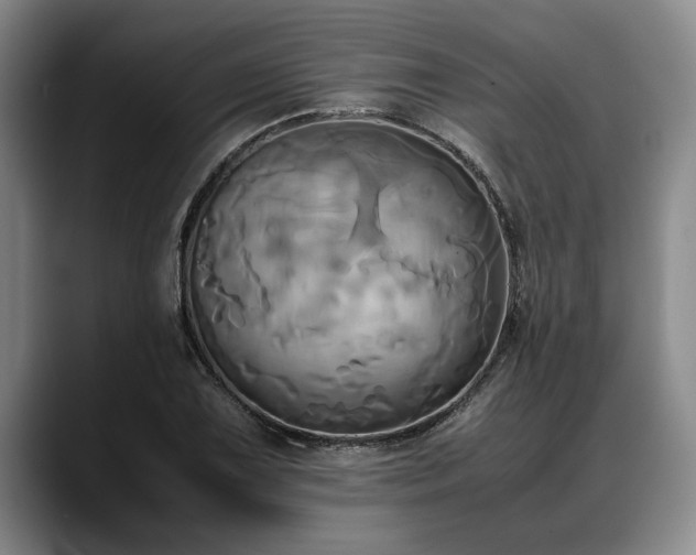X0000088481075200705291623