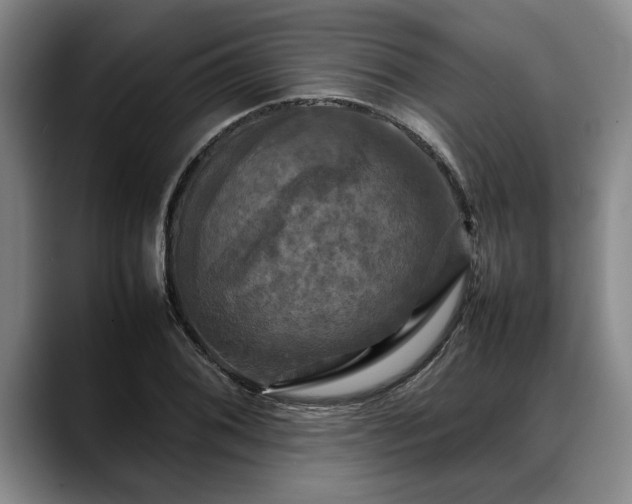 X0000088481076200705291623