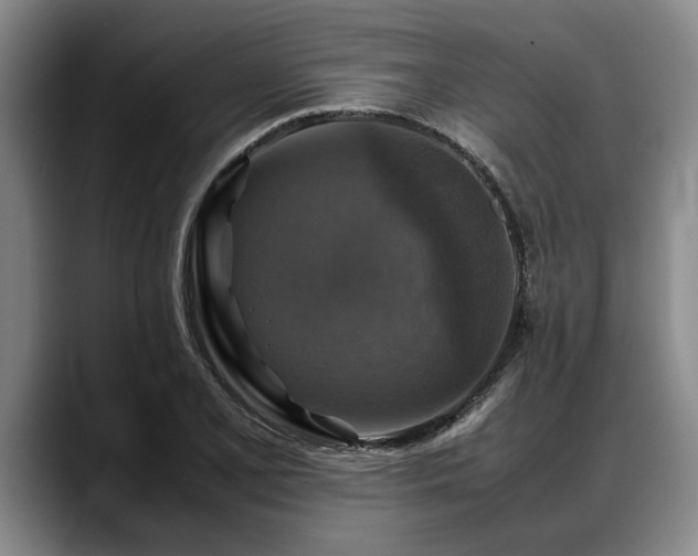 X0000088481077200705291623
