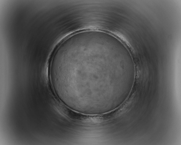 X0000088481078200705291623