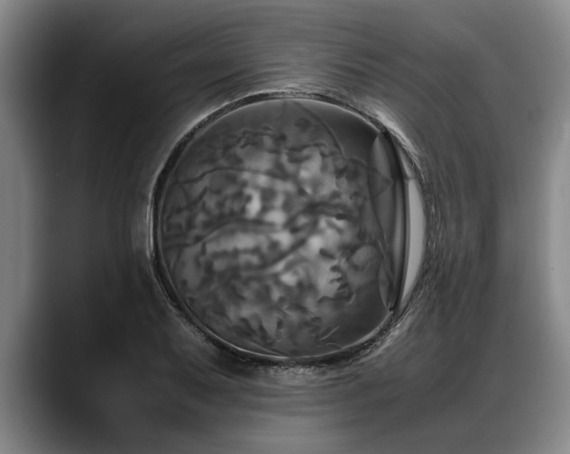 X0000088481079200705291623