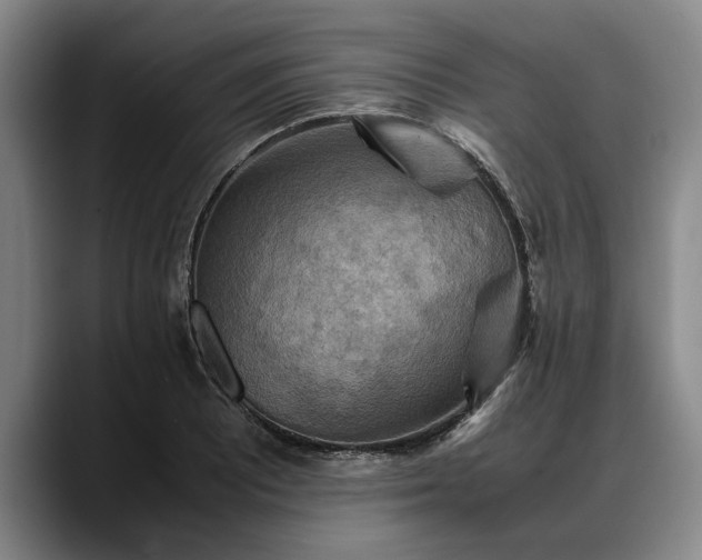 X0000088481081200705291623