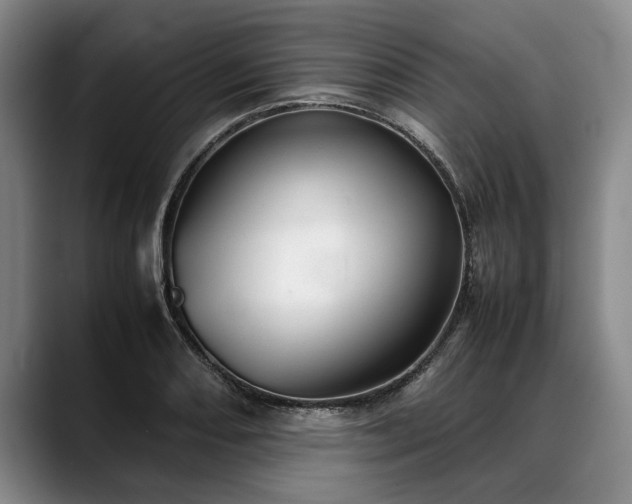 X0000088481082200705291623