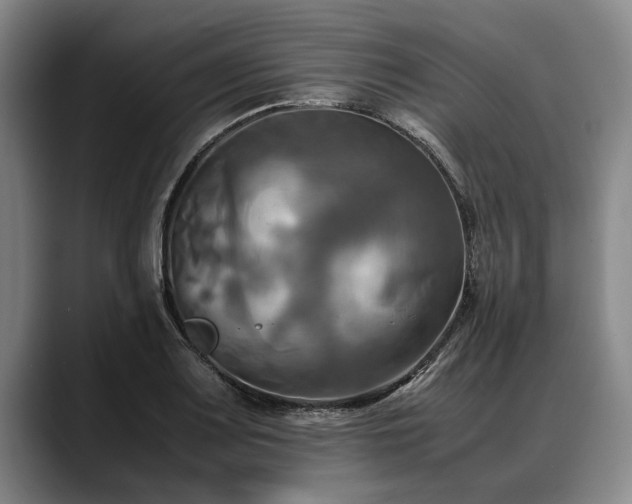 X0000088481083200705291622