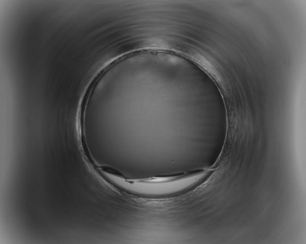 X0000088481084200705291622