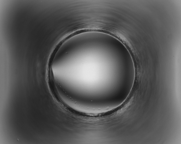 X0000088481085200705291622