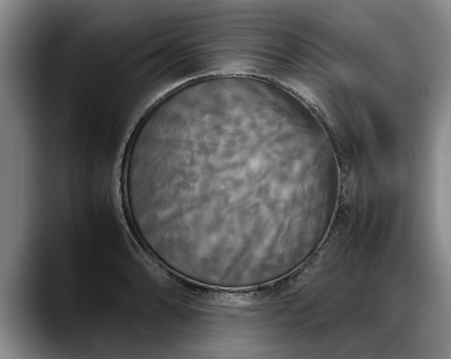 X0000088481086200705291622