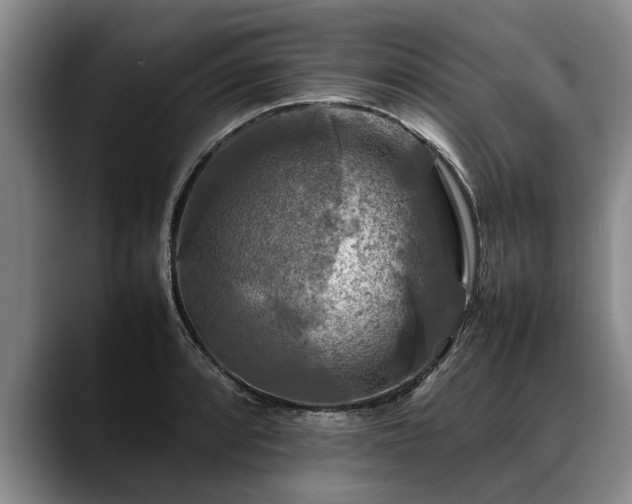 X0000088481088200705291622