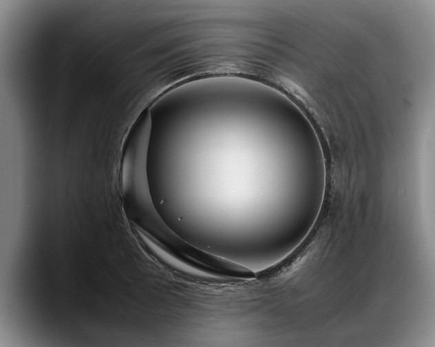 X0000088481089200705291622