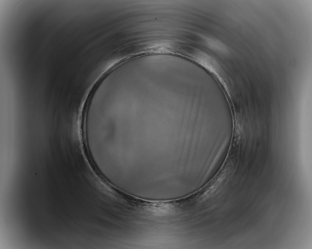 X0000088481090200705291622