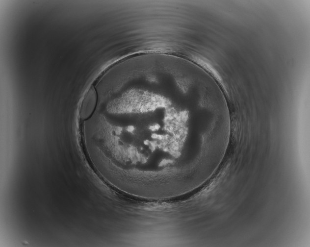 X0000088481091200705291622