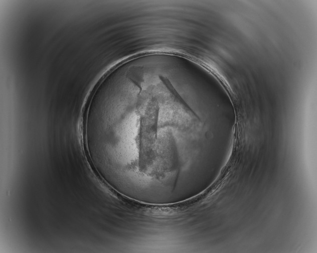 X0000088481092200705291622