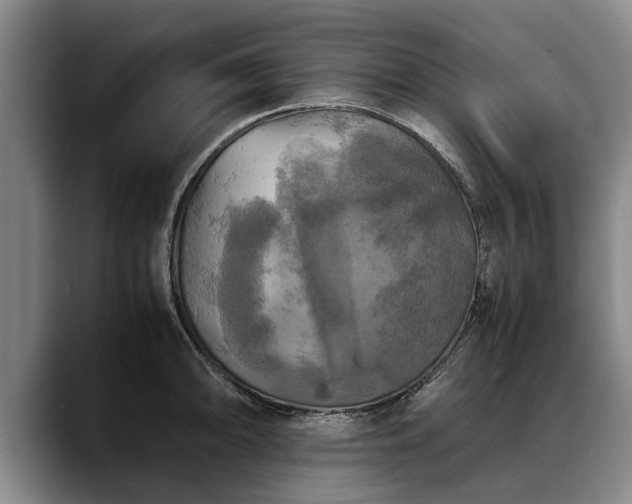 X0000088481094200705291622