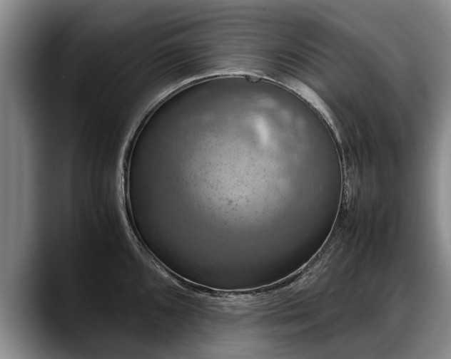 X0000088481096200705291622