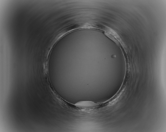 X0000088481097200705291622