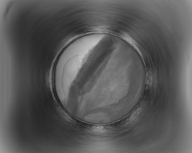 X0000088481098200705291622