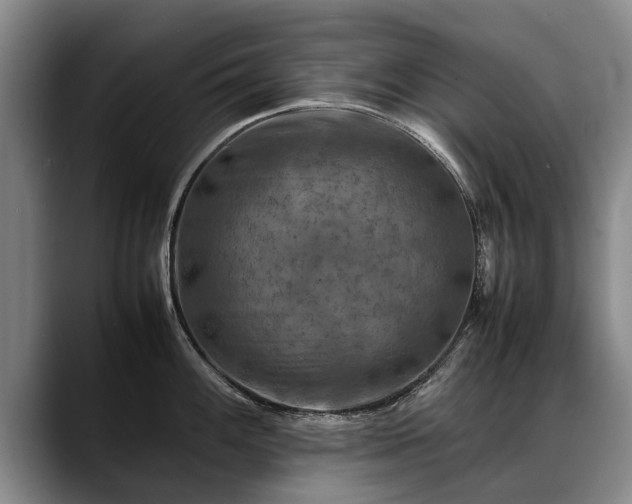 X0000088481100200705291622