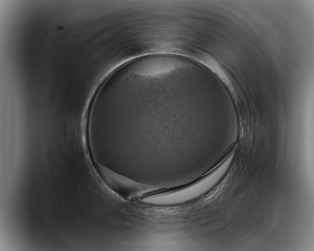 X0000088481102200705291622