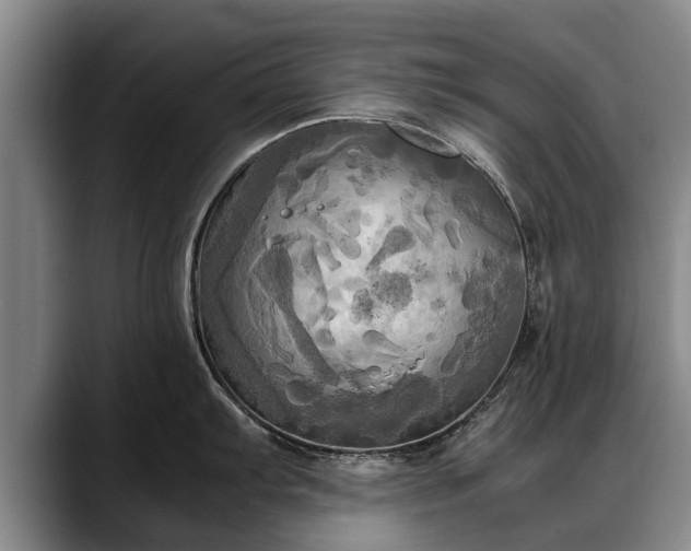 X0000088481103200705291622