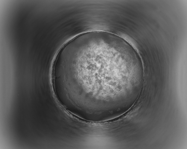 X0000088481104200705291622