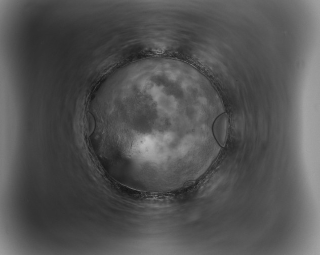 X0000088481105200705291622