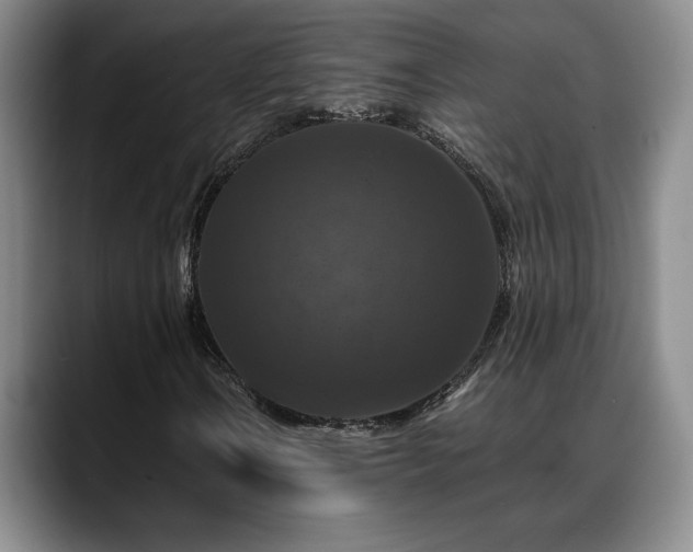 X0000088481106200705291622