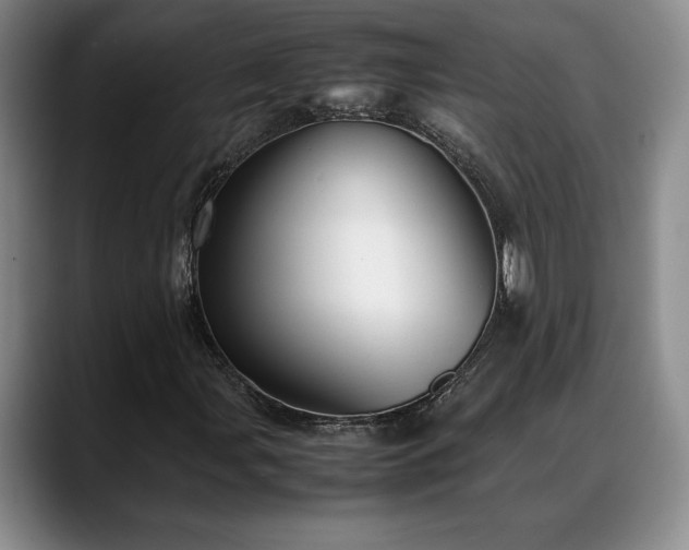 X0000088481107200705291622