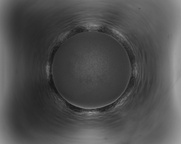 X0000088481108200705291622