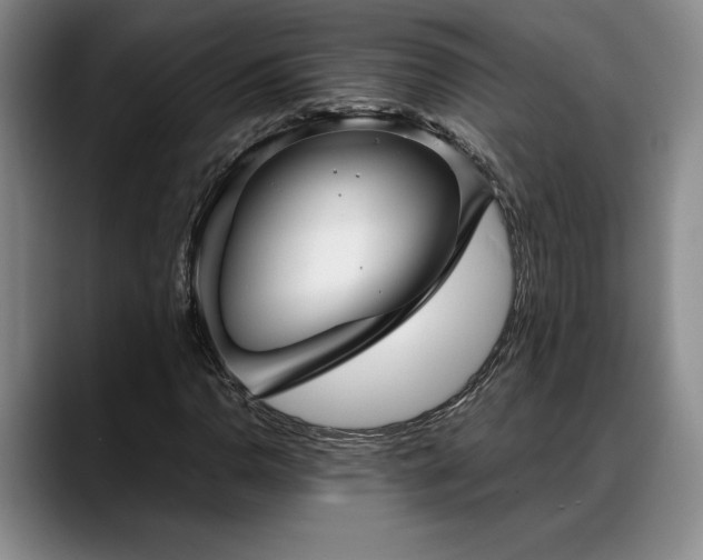 X0000088481110200705291622