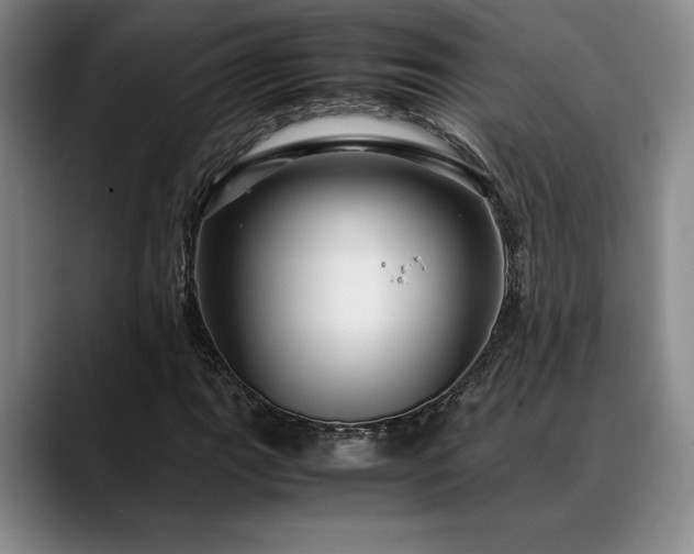 X0000088481111200705291622