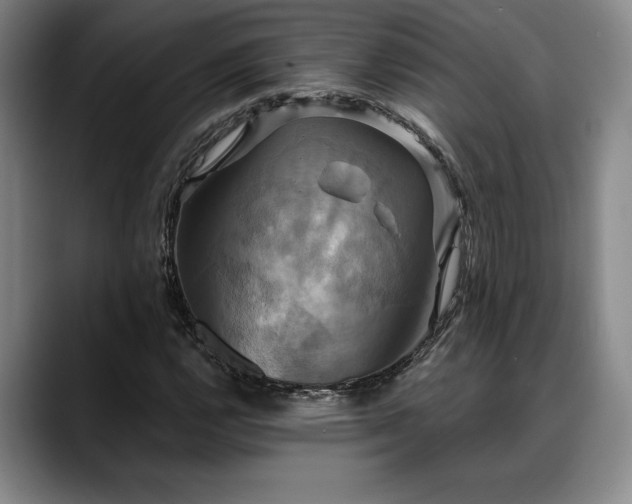 X0000088481112200705291622