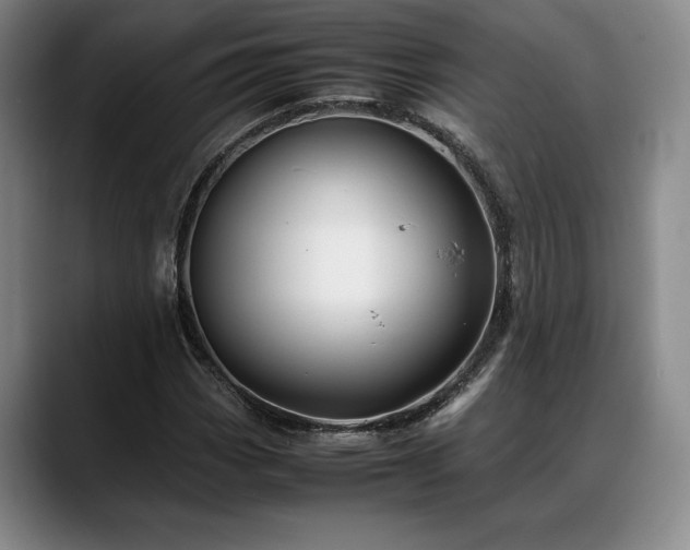 X0000088481113200705291622
