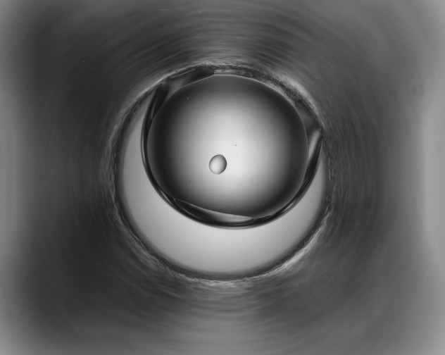 X0000088481114200705291622