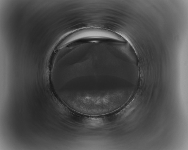X0000088481115200705291622