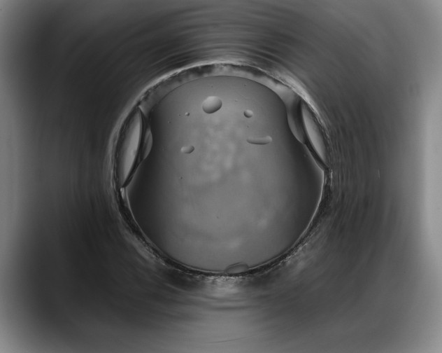 X0000088481116200705291622