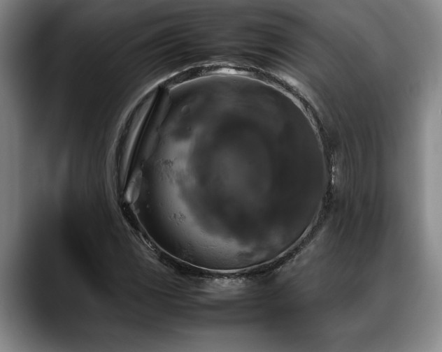 X0000088481117200705291622