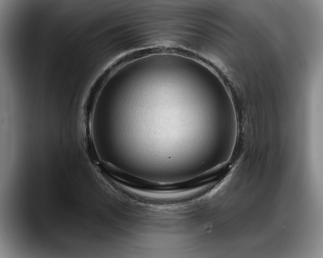 X0000088481118200705291622