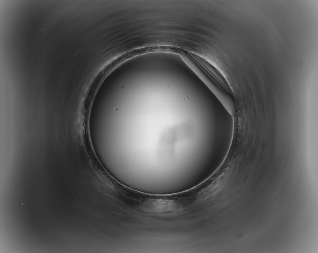 X0000088481119200705291622