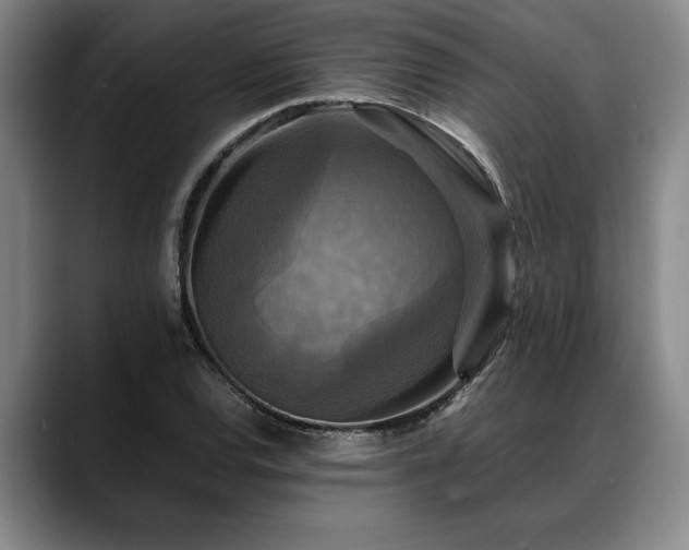 X0000088481120200705291622
