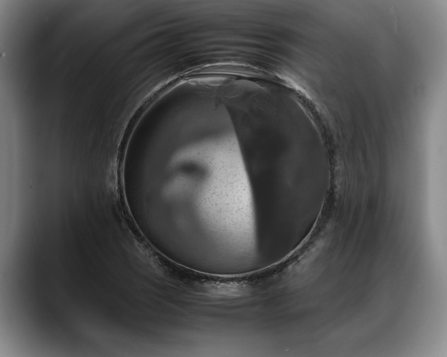 X0000088481121200705291622