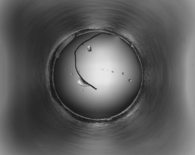 X0000088481122200705291622