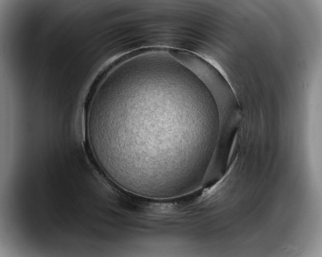 X0000088481123200705291622
